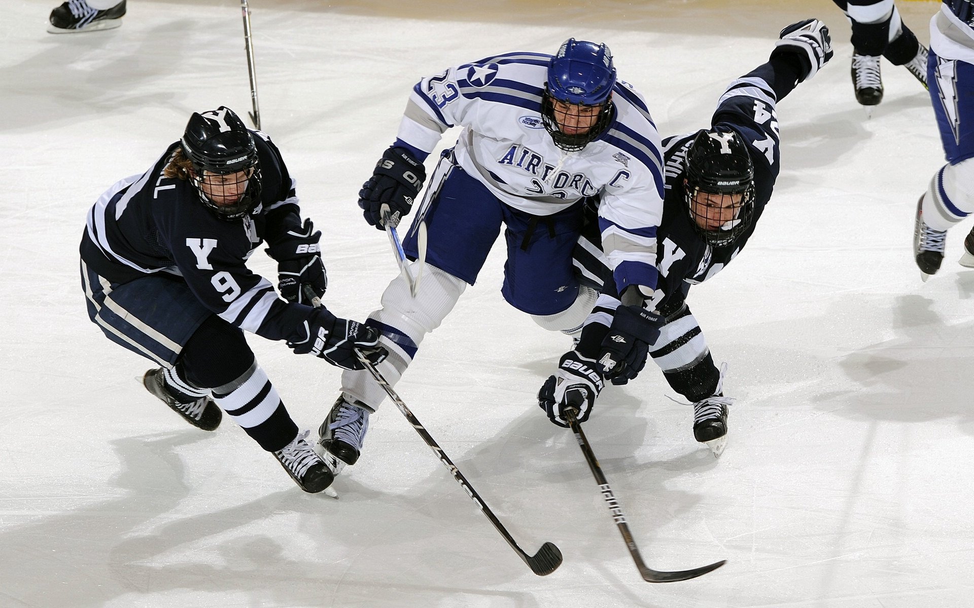 体育产业投资回报分析报告，投资体育事业的行业
