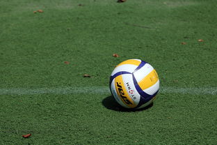 女排世锦赛：中国队力压群雄，奖牌不断！，女排世锦赛名额